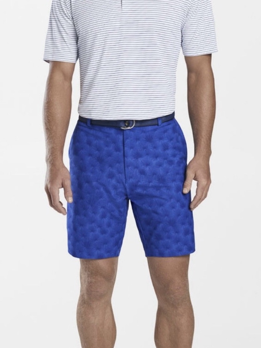 Peter Millar Carrboro Fan Palm Shorts